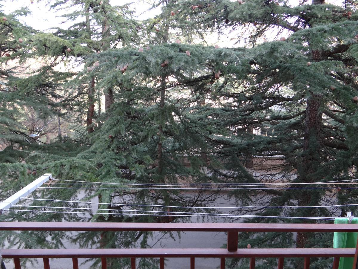 Dilijan Apartment Esterno foto